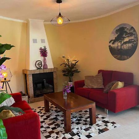 Villa Casa Joli In Oliva With Private Pool And Stunning Views Exterior photo